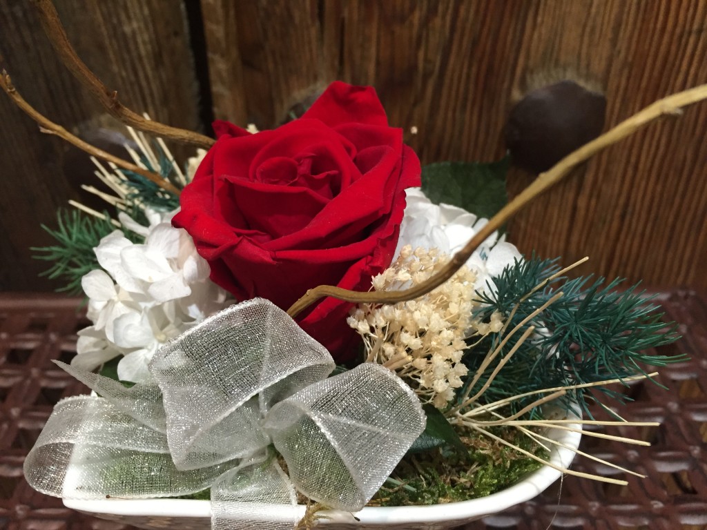 rosas liofilizadas zaragoza