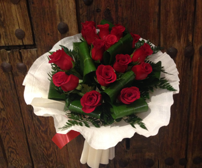 rosas rojas