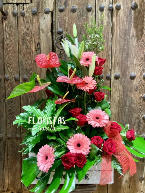 Caja de plantas y flores