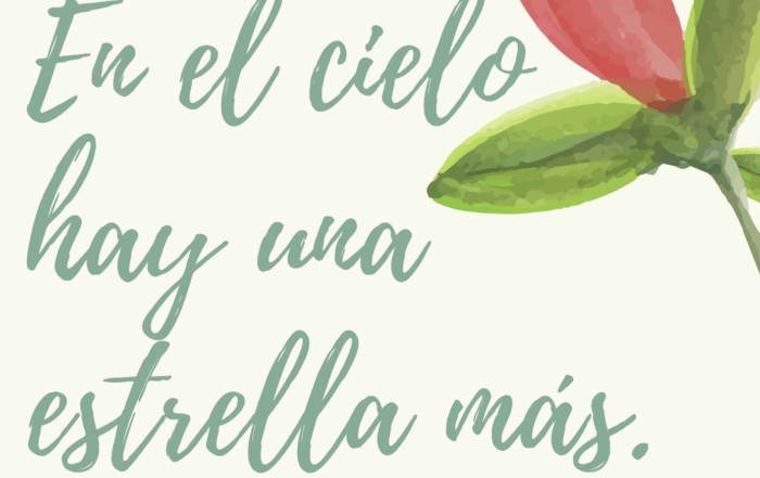 flores para todos los santos