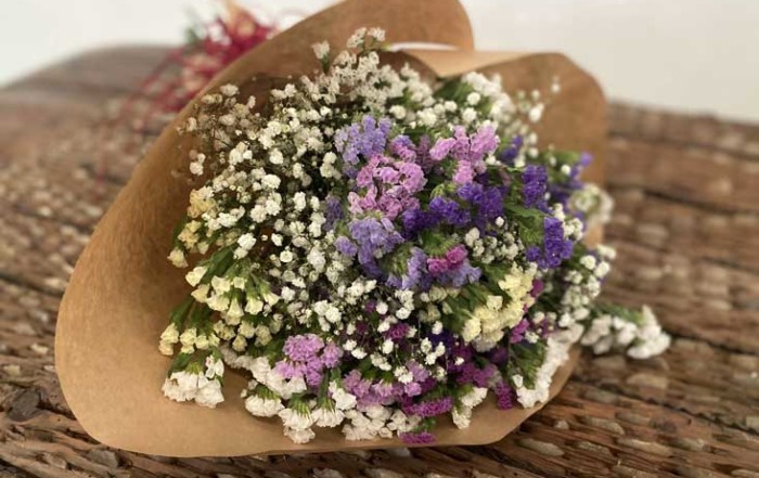 flores de noviembre
