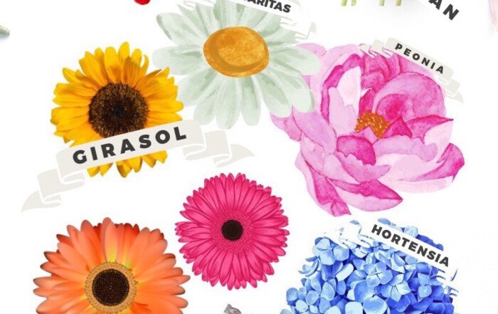 Las flores hablan…la floriografia es el lenguaje de las flores.