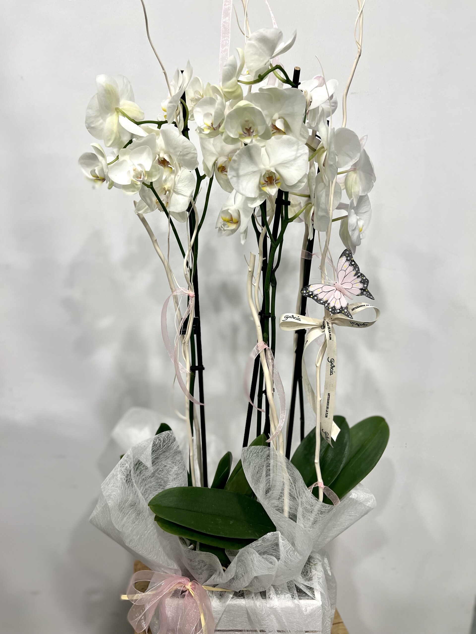 Caja de Orquídeas