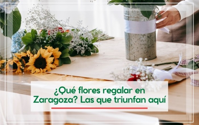 Flores para regalar en Zaragoza y su significado