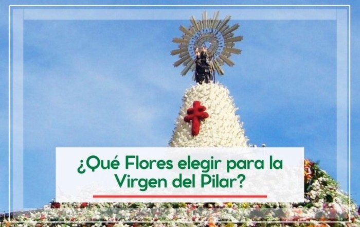 ¿Qué Flores elegir para la Virgen del Pilar 2025?