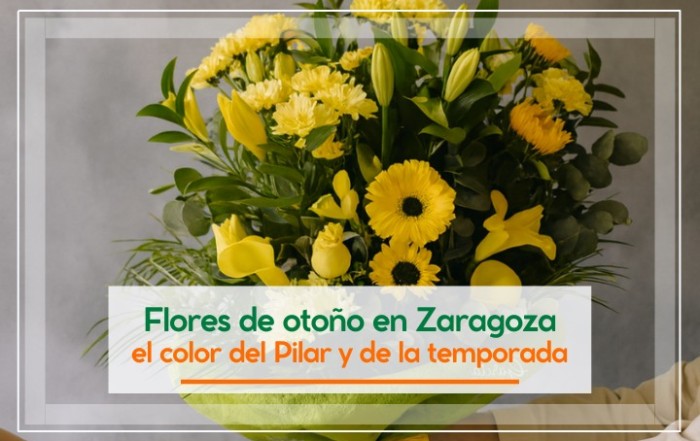 Flores de otoño en Zaragoza: el color del Pilar y de la temporada