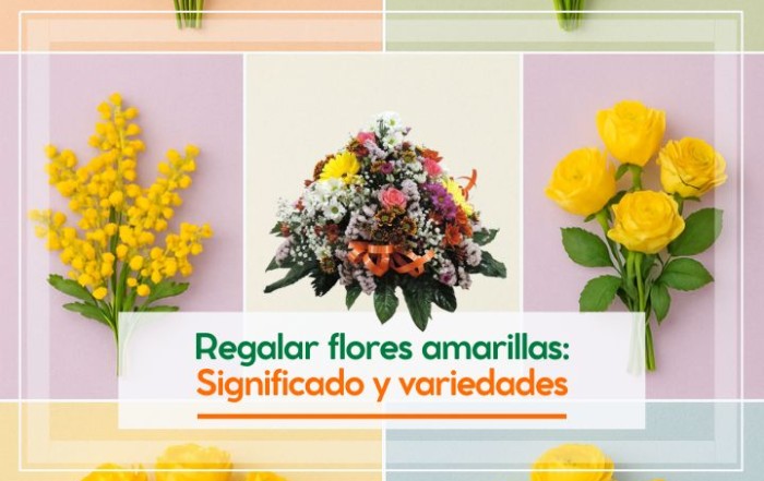 Regalar flores amarillas: significado y tipos